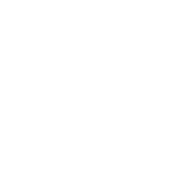 Eye Image